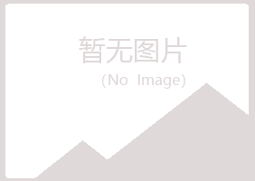 青海夏岚采矿有限公司